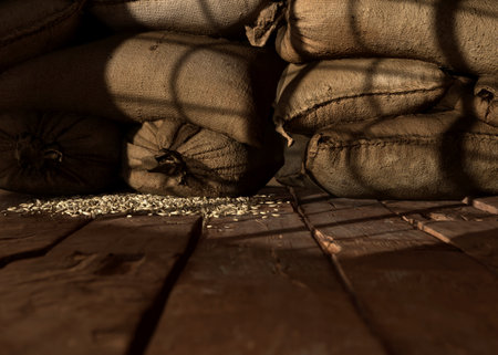 A dim indoor stage of a worn wooden floor and burlap hessian sacks on a dark background - 3D renderの写真素材