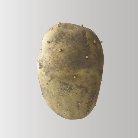 Realistic 3D render of a raw soil-covered potato with detailed earthy texture on a white studio background. Ideal for farm, organic, and agricultural-themed visual projects.の写真素材