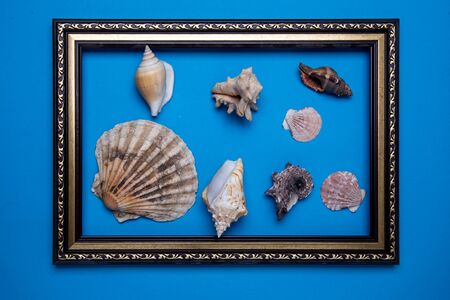 Frame and shells on a blue background. mock-up.の写真素材