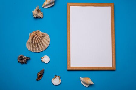 Frame and shells on a blue background. mock-up.の写真素材