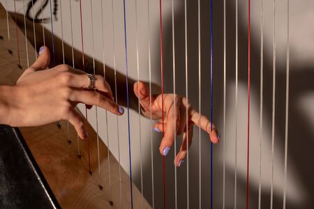 Hands of a girl playing on a harpの写真素材