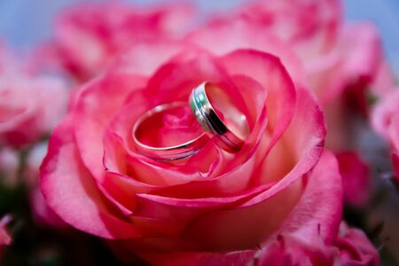 Wedding rings against the background of a bouquet of rosesの写真素材