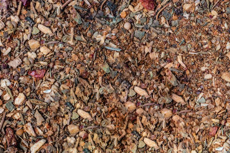 Assorted spices on dark black background. Seasonings for food.の写真素材