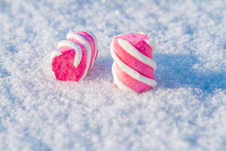 marshmallow lies on a white snow-covered background. Winter Christmas backgroundの写真素材