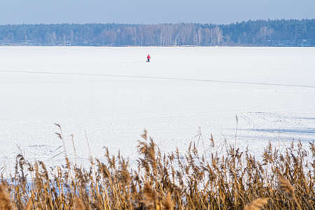 winter in the village. winter lake covered with ice and snow. reeds. rink. the water is covered with snow. early winter.の写真素材
