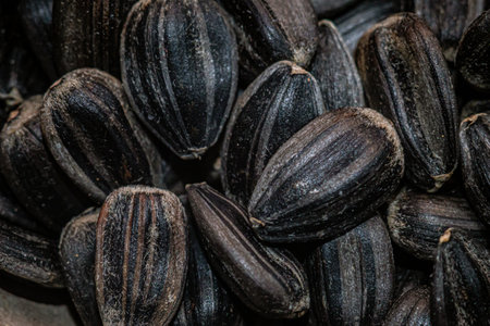 Black sunflower seeds, square organic background. For texture or background. top view.