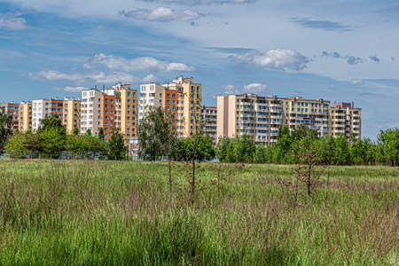 Large residential area among green trees, behind a large green fieldの写真素材