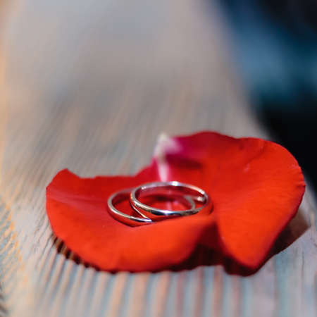 wedding rings and roses petals.の写真素材