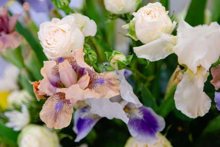 Beautiful freshly cut colorful bouquet. irises. Flower delivery, flora shop concept. selective focus