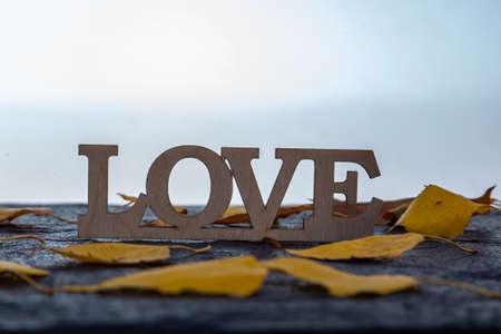The inscription Love on a dark stone background with yellow leaves.の写真素材