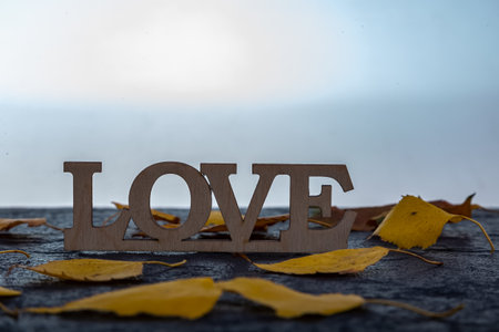 The inscription Love on a dark stone background with yellow leaves.の写真素材