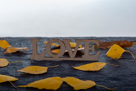 The inscription Love on a dark stone background with yellow leaves.の写真素材