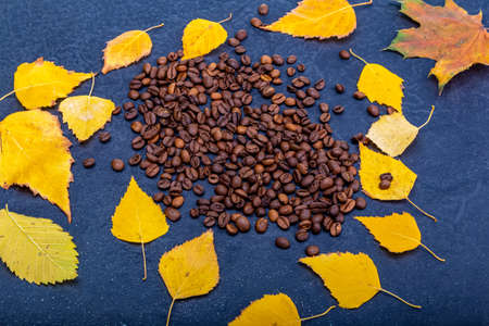 Fresh roasted coffee bean stands on a hill of ground coffee in the smoke. Black background. Post card, bannerの写真素材