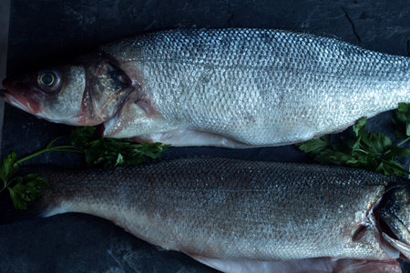 Overhead view of two European sea bass with fresh parsley sprigs on a vintage black slate ready to cook. Fish and healthy food.の写真素材
