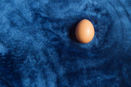 An isolated brown egg surrounded by blue velvet with copy space. Raw food on a textured background.の写真素材