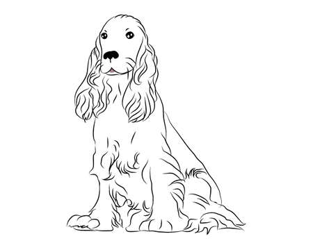 Cocker spaniel cute dog vector illustration golden color detailed pet for pet supply care business  breed icon animalのイラスト素材