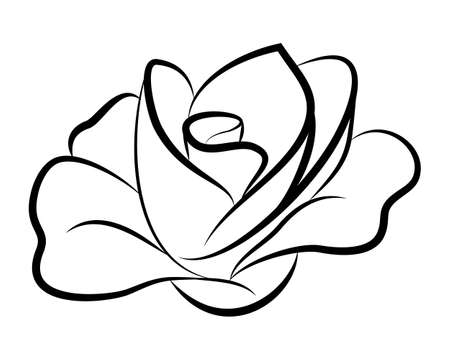 black rose flower  graphic tattoo line art design symbol stylized vector illustrator decorativeのイラスト素材