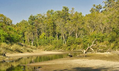 Riverine Forest, Wetlands, Royal Bardia National Park, Bardiya National Park, Nepal, Asia