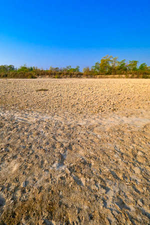 Dry River Bed, Wetlands, Royal Bardia National Park, Bardiya National Park, Nepal, Asiaの写真素材