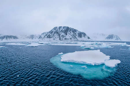 Drift floating Ice, Albert I Land, Arctic, Spitsbergen, Svalbard, Norway, Europeの写真素材