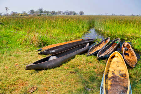 Okavango Wetlands, Okavango Delta,  Ramsar Wetland, Botswana, Africaの写真素材