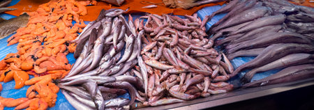 Fresh Fish at Central Food Market, Chiclana de la Frontera, Cadiz, Andalucia, Spain, Europe