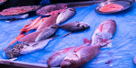 Fresh Fish at Central Food Market, Chiclana de la Frontera, Cadiz, Andalucia, Spain, Europe
