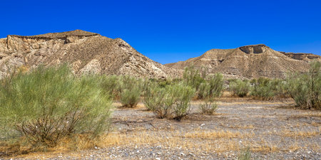 Tabernas Desert Nature Reserve, Special Protection Area, Hot Desert Climate Region, Tabernas, Almeria, Andalusia, Spain, Europe