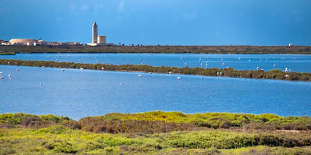Las Salinas Ornithological Viewpoint, Salinas de Cabo de Gata, Wetland Ramsar Site, Cabo de Gata-NÃ­jar Natural Park, UNESCO Biosphere Reserve, Hot Desert Climate Region, AlmerÃ­a, Andalusia, Spain, Europeのeditorial素材