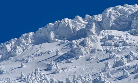 Snowy Landscape, Sierra de Guadarrama National Park, Segovia, Castilla y Leon, Spain