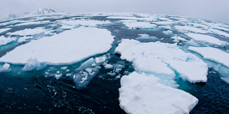 Drift floating Ice, Albert I Land, Arctic, Spitsbergen, Svalbard, Norway, Europe