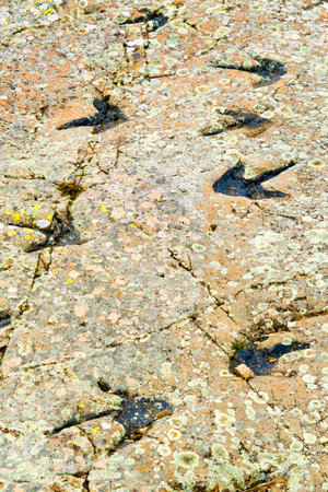 Ichnites Paleontological Deposit of Fuentesalvo, Villar del RÃ­o, Ichnites Route of Highlands of...