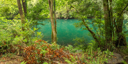 Fragas do Eume Natural Park, Pontedeume, La CoruÃ±a, Galicia, Spain, Europeの写真素材