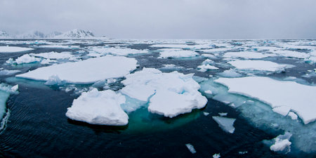 Drift floating Ice, Albert I Land, Arctic, Spitsbergen, Svalbard, Norway, Europe