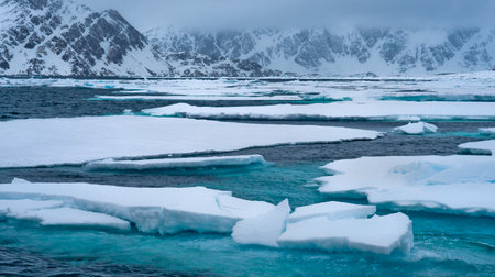 Drift floating Ice and Snowcapped Mountains, Albert I Land, Arctic, Spitsbergen, Svalbard, Norway,...