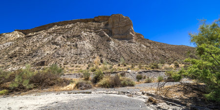 Tabernas Desert Nature Reserve, Special Protection Area, Hot Desert Climate Region, Tabernas, Almeria, Andalusia, Spain, Europeの写真素材