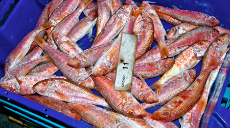 Fish baskets in Fish Market, Fishing port, Mediterranean Sea, Aguilas, Murcia, Region of Murcia,...
