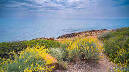 Walking Coast Path, Sierra de Irta Natural Park, Costa de Azahar, Bajo Maestrazgo, CastellÃ³n, Valencian Community, Spain, Europeの写真素材