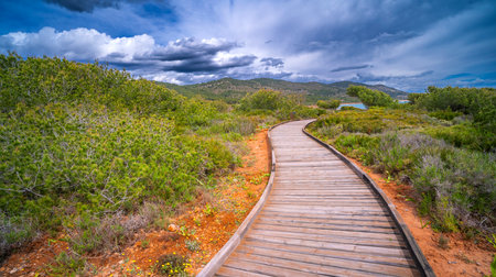 Walking Coast Path, Sierra de Irta Natural Park, Costa de Azahar, Bajo Maestrazgo, CastellÃ³n, Valencian Community, Spain, Europeの写真素材