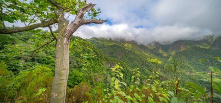 Panoramic View from Vereda dos Balcoes PR11 Mountain Footpath, Irrigation Channel Maintenance Trail,...