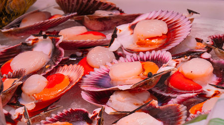 Fresh Scallops Seafood Exposed for Sale at Fish Market, Mediterranean Sea, Spain, Europeの写真素材