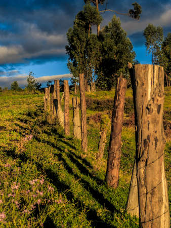 Barb wire fence in Palenque Bolivar Ecuadorの写真素材