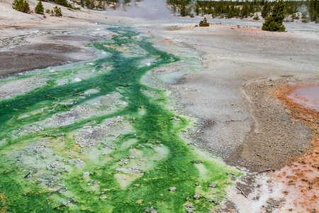 Hotspring view inside Yellowstone National Park USAの写真素材