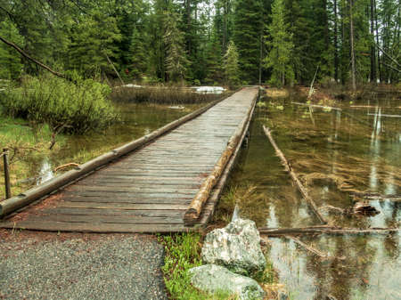 Wooden bridge near Jenny Lake in Grand Teton National Parkの写真素材