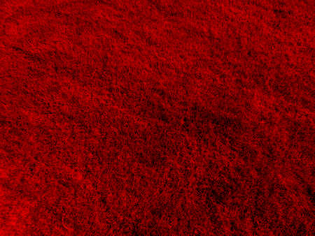 red grass close up photoの写真素材