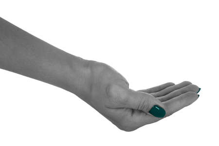 Palm up giving anything, middle-aged woman's skin, cyan manicure. Isolated on white background.の写真素材