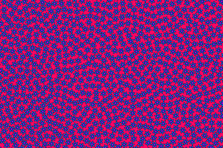 Summer grassplot with blossoming aster. Affection concept.の写真素材