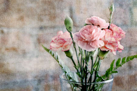 Carnation pink style painting on brick background.の写真素材