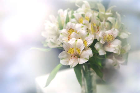 White flowers in a vase with delicate lighting.の写真素材