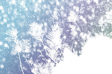 Festive elegant abstract background with bokeh lights and stars Texture